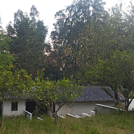 Quinta Los Eucaliptos Villa Quito Exteriör bild