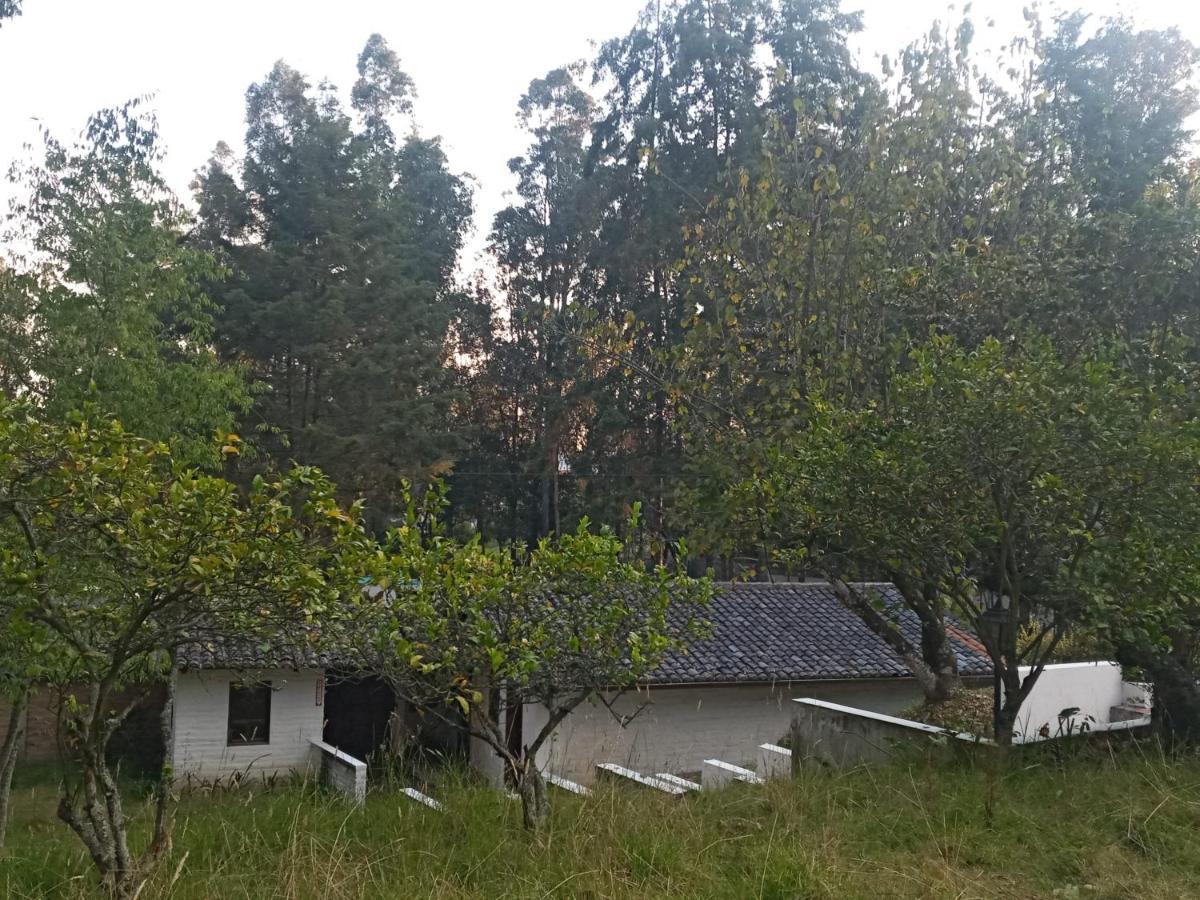 Quinta Los Eucaliptos Villa Quito Exteriör bild